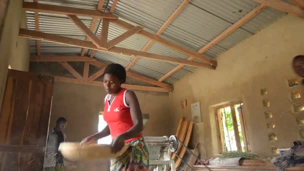 非洲妇女 — 图库视频影像