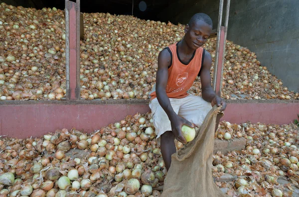 Agricultor africano — Foto de Stock