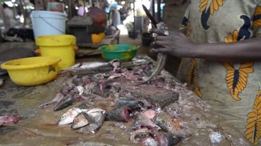 balık pazarı