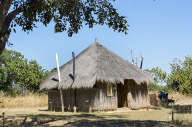 Afrika ev