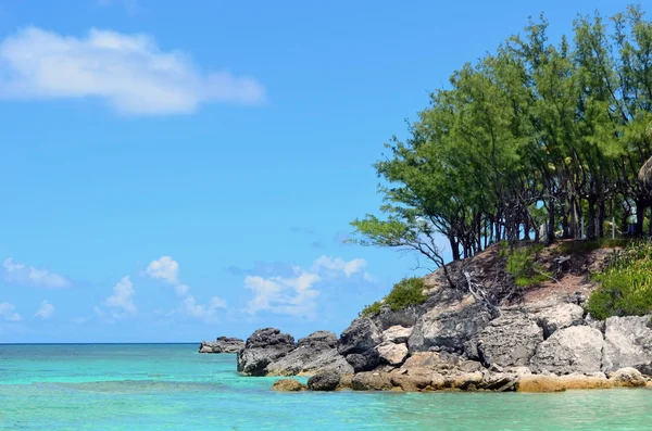 Bahama doğal manzaralı — Stok fotoğraf