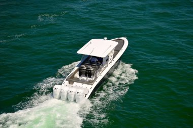 Balina avcısı balıkçı