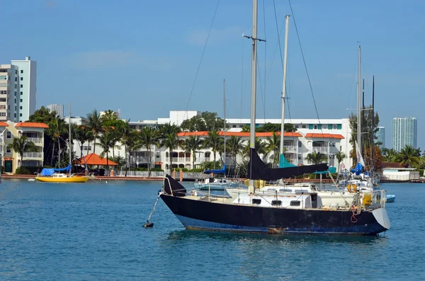 Verankerte Segelboote — Stockfoto