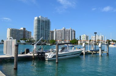 Miami beach polis teknesi
