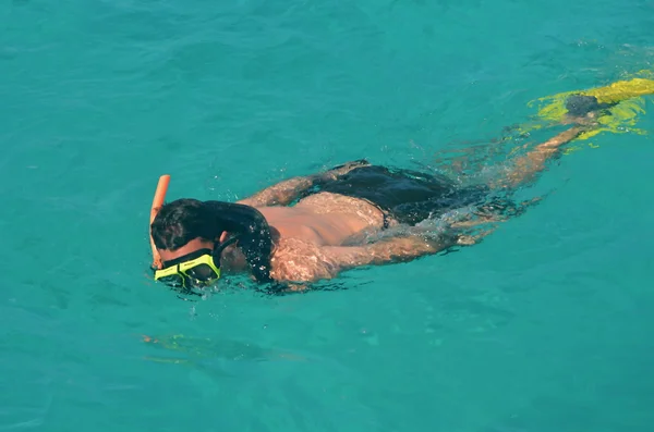 Snorkeler — Stock Photo, Image