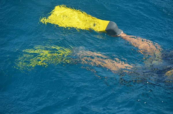 Bright Yellow Swim Fins — Stock Photo, Image