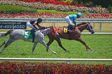 yarış sonunda kolaylaştırılması