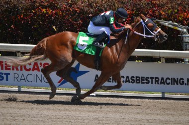 cesur bakış açısı