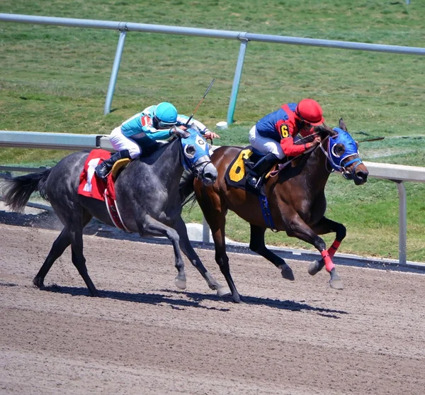 Uma corrida para a linha — Fotografia de Stock