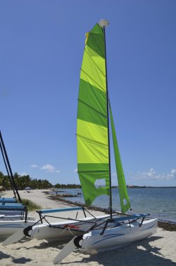 küçük yelkenli katamaran