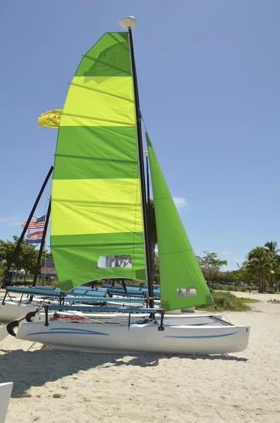 Small Sailing Catamaran — Stock Photo, Image