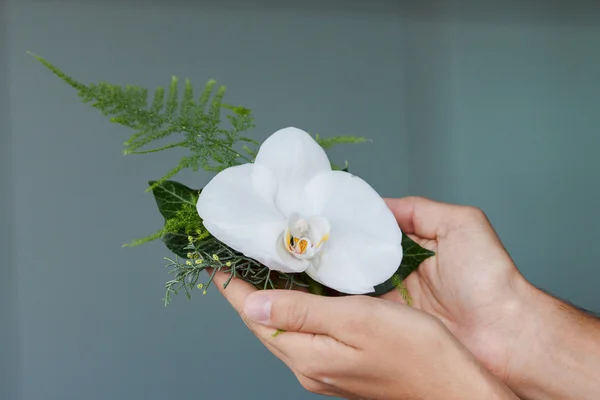 Orchidej boutonniere — Stock fotografie