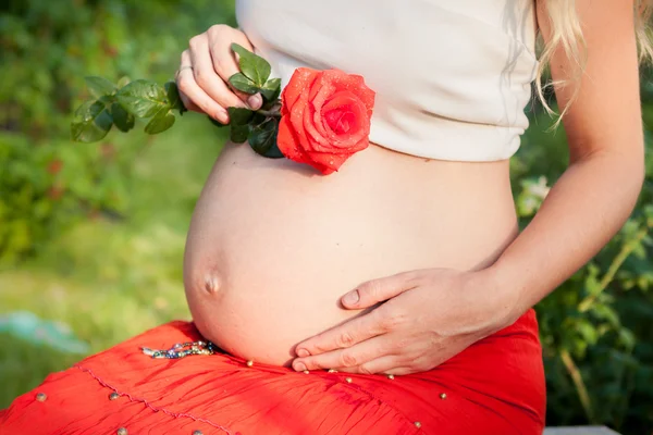 Schöne Schwangerschaft — Stockfoto