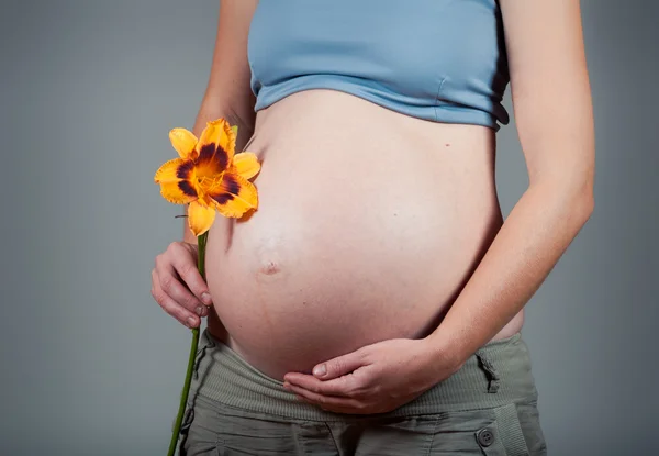 Schöne Schwangerschaft — Stockfoto