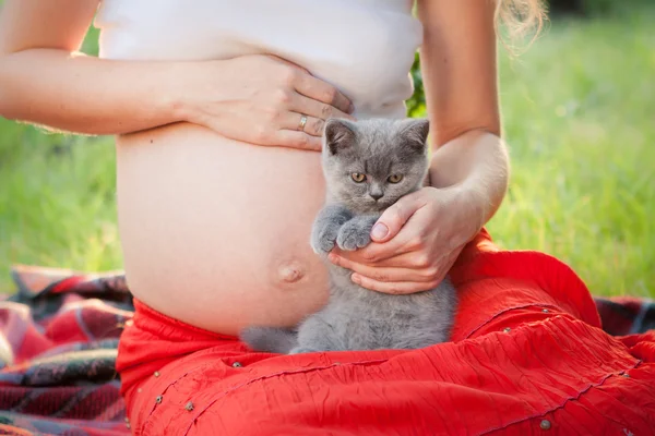 Piękne ciąży — Zdjęcie stockowe