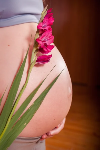 Beautiful pregnancy — Stock Photo, Image