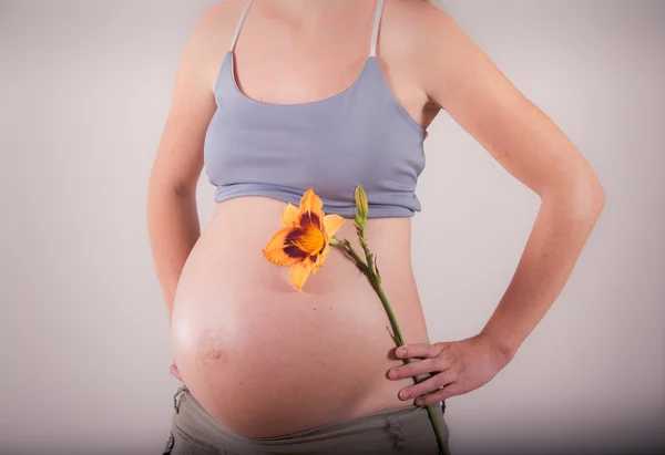 Bela gravidez — Fotografia de Stock