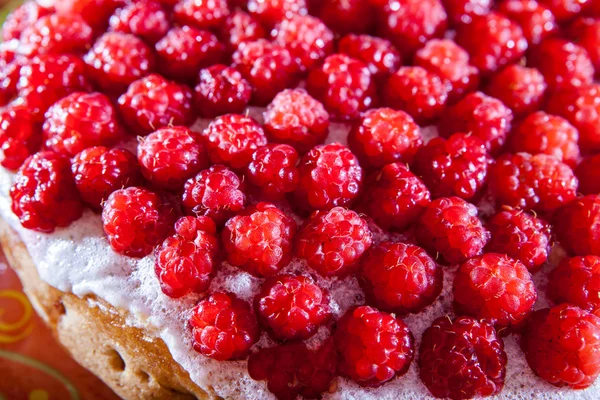 Tarte aux framboises — Photo