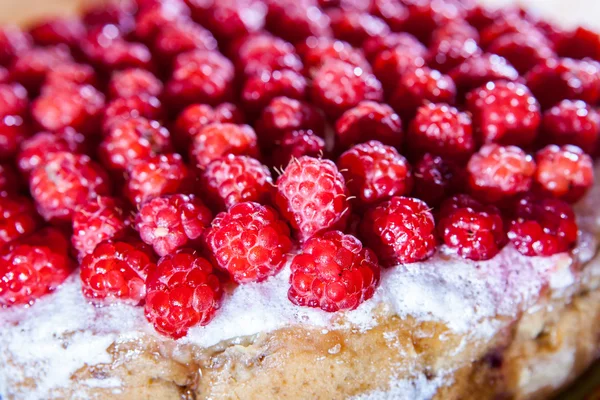 Tarte aux framboises — Photo