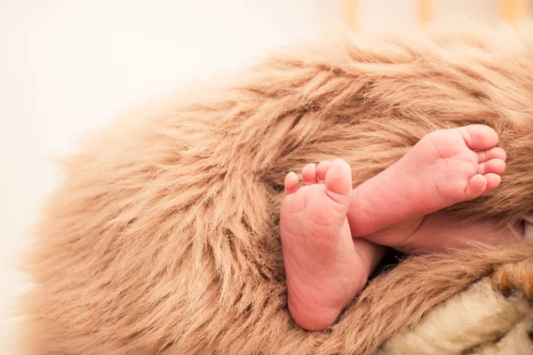 Poten van een pasgeboren baby in een bont deken — Stockfoto