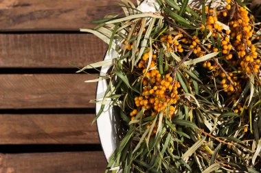 Deniz dikenli meyveli dallar beyaz metal bir kasenin içinde, arka plan ahşaptır. Sağlıklı sonbahar meyveleri. Metin için yer