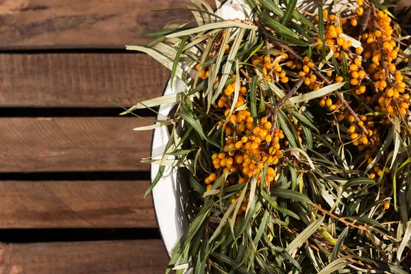 Deniz dikenli meyveli dallar beyaz metal bir kasenin içinde, arka plan ahşaptır. Sağlıklı sonbahar meyveleri. Metin için yer