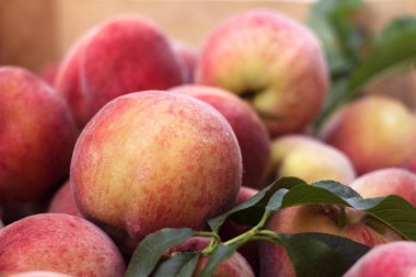 Tahta bir kutuda bir sürü olgun şeftali var. Meyve arka planı, sağlıklı yiyecekler.