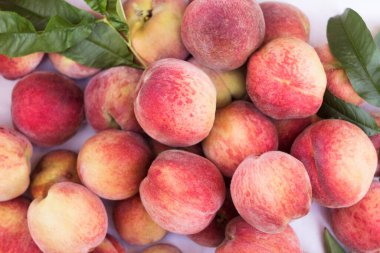 Tahta bir kutuda bir sürü olgun şeftali var. Meyve arka planı, sağlıklı yiyecekler.