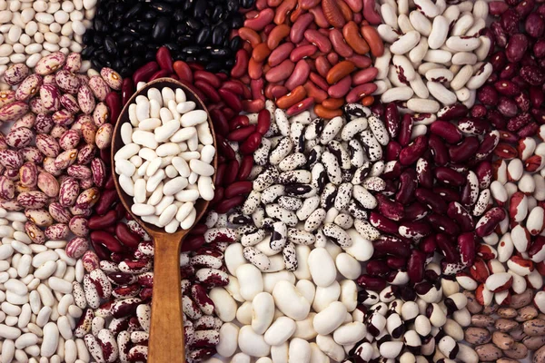 豆の異なる種類 カラフルな豆の多くは 白い豆と木製のスプーン — ストック写真