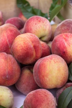 Tahta bir kutuda bir sürü olgun şeftali var. Meyve arka planı, sağlıklı yiyecekler.