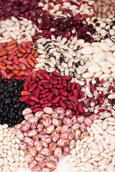 Diferentes Tipos Frijoles Fondo Frijoles Blancos Rojos Negros Coloridos —  Fotos de Stock