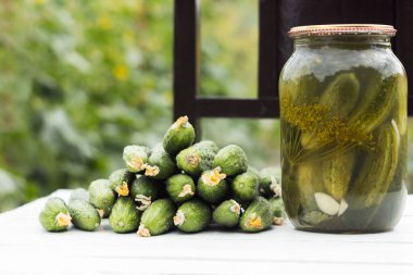 Taze ve salatalık turşusu, kışa sebze hazırlamak. Arkaplan