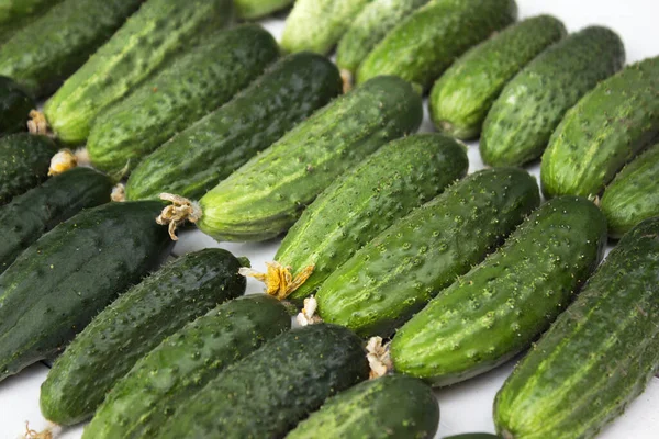 Plucked Ripe Cucumbers Background Green Healthy Vegetables — Stock Photo, Image