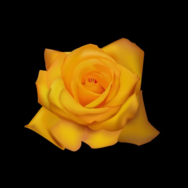 Illustration vectorielle jaune rose — Image vectorielle