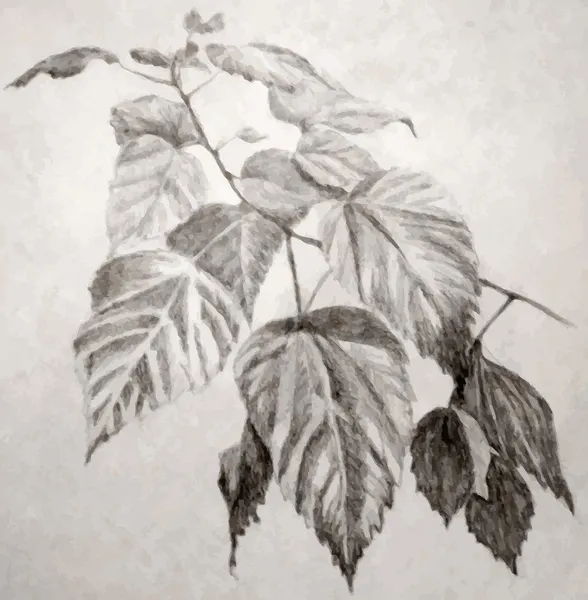 Illustration of leaves branch — Stock Vector