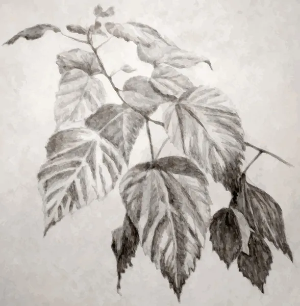 Illustration of leaves branch Royalty Free Stock Vectors