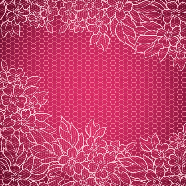 Lace background — Stock Vector