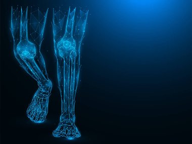 İnsan bacaklarının çokgen vektör çizimi. Ayak bileği ve diz eklemlerinin anatomik yapısı. Tıbbi afiş, şablon veya arkaplan.