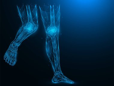 İnsan bacaklarının çokgen vektör çizimi. Ayak bileği ve diz eklemlerinin anatomik yapısı. Fütürist tıbbi pankart, şablon veya arkaplan.