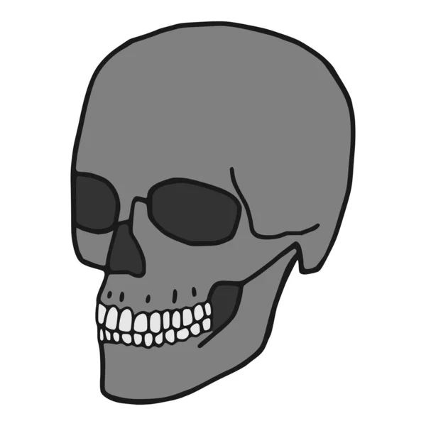 Ανθρώπινο Κρανίο Επίπεδη Εικόνα Cranium Doodle Art Λευκό Φόντο — Διανυσματικό Αρχείο