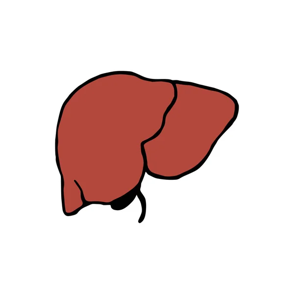 벡터에 Liver Doodle 일러스트 사람의 아이콘 배경에 — 스톡 벡터