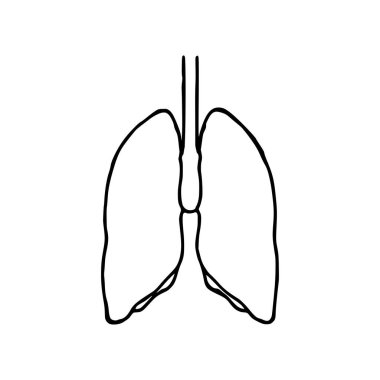 Akciğerler karalama vektör illüstrasyonu. Beyaz arkaplanda insan iç organ çizgisi simgesi izole
