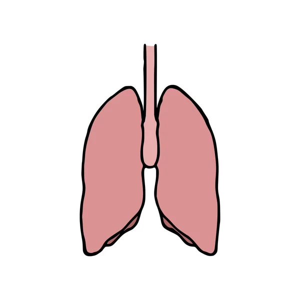 Lungs Doodle Vector Ilustración Icono Dibujos Animados Órgano Interno Humano — Archivo Imágenes Vectoriales