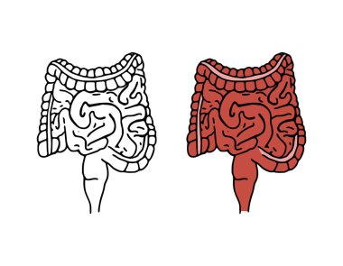 Bağırsaklar vektör illüstrasyonunu çizer. Sindirim sistemi karikatür simgeleri beyaz arkaplanda izole edildi. Elle çizilmiş insan iç organı