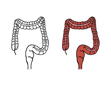 Kolon karalama vektör çizimi. Sindirim sistemi karikatür simgeleri beyaz arkaplanda izole edildi. Elle çizilmiş insan iç organı.