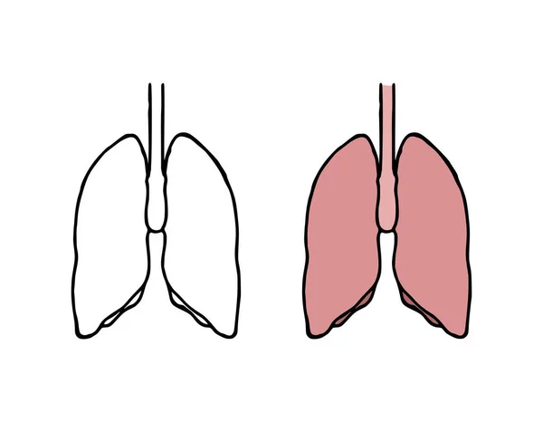 Illustration Vectorielle Des Gribouillis Pulmonaires Organe Interne Humain Style Dessiné — Image vectorielle