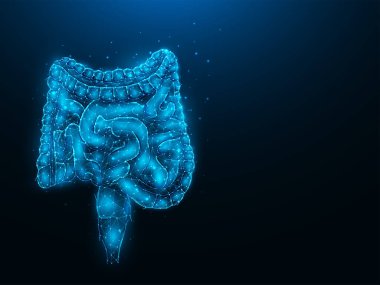 Koyu mavi arka plandaki bağırsakların soyut çokgen vektör çizimi. Sindirim sistemi, iç organ düşük polimer tasarımı. Tıbbi afiş, şablon veya arkaplan.