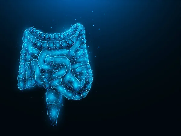 Koyu mavi arka plandaki bağırsakların soyut çokgen vektör çizimi. Sindirim sistemi, iç organ düşük polimer tasarımı. Tıbbi afiş, şablon veya arkaplan.