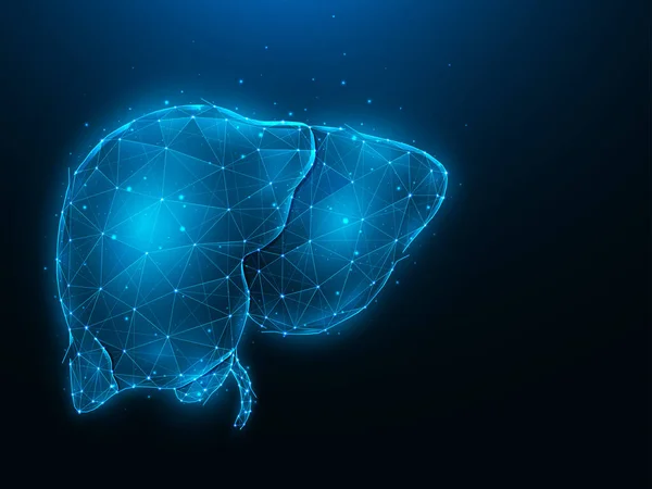 Koyu mavi arka planda insan karaciğerinin soyut çokgen çizimi. Sindirim bezi, dahili düşük polimerli tasarım. Tıbbi afiş, şablon veya arkaplan.