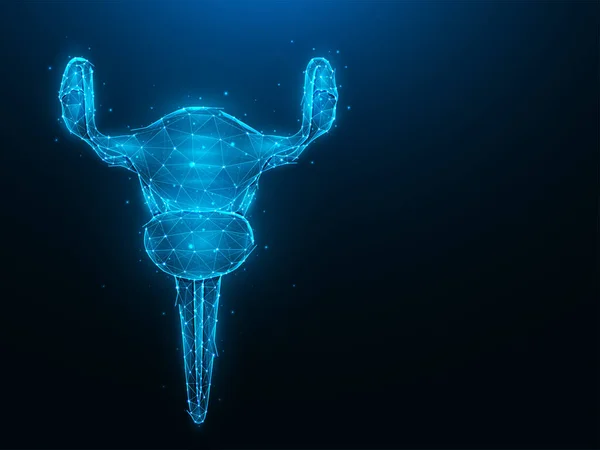 Abstracte Polygonale Baarmoeder Vector Illustratie Donkerblauwe Achtergrond Vrouwelijke Voortplantingsorgaan Laag — Stockvector